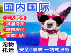 贵阳龙洞堡机场托运国际宠物托运 【国